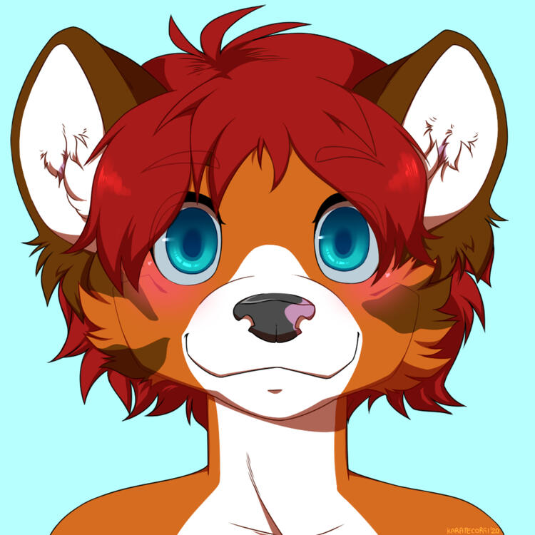 HEADSHOT/ICON